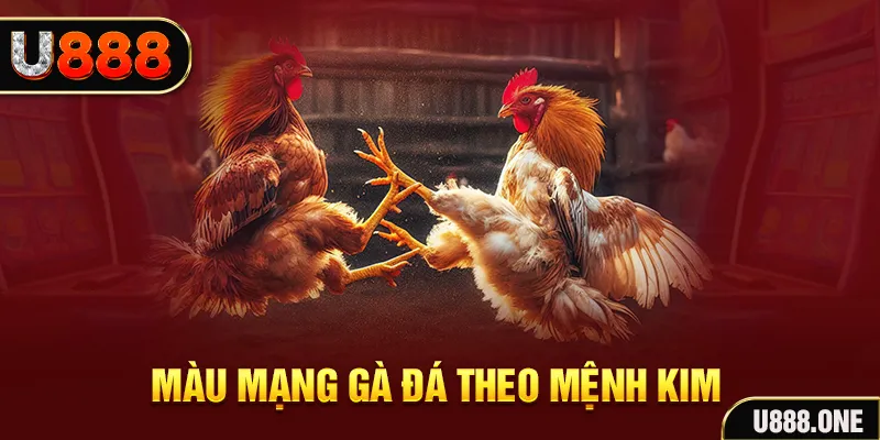 Cỡ bảy