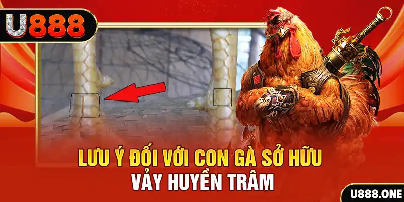 tienganh123 kết quả xổ số miền nam hôm nay