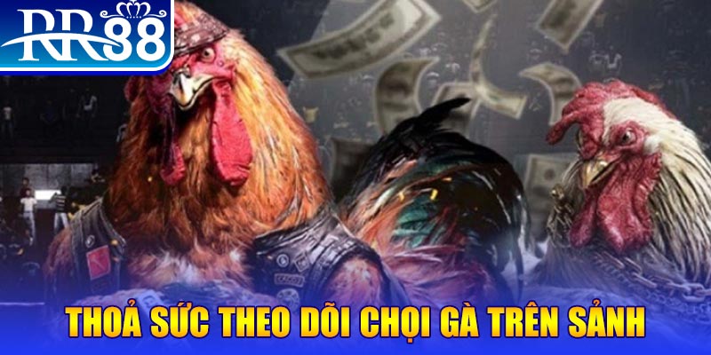 tienganh123 trực tiếp đá gà c1